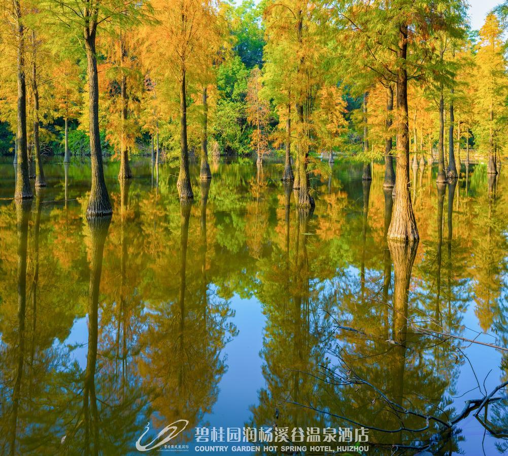 Country Garden Hot Spring Hotel Huizhou Huizhou  Bagian luar foto