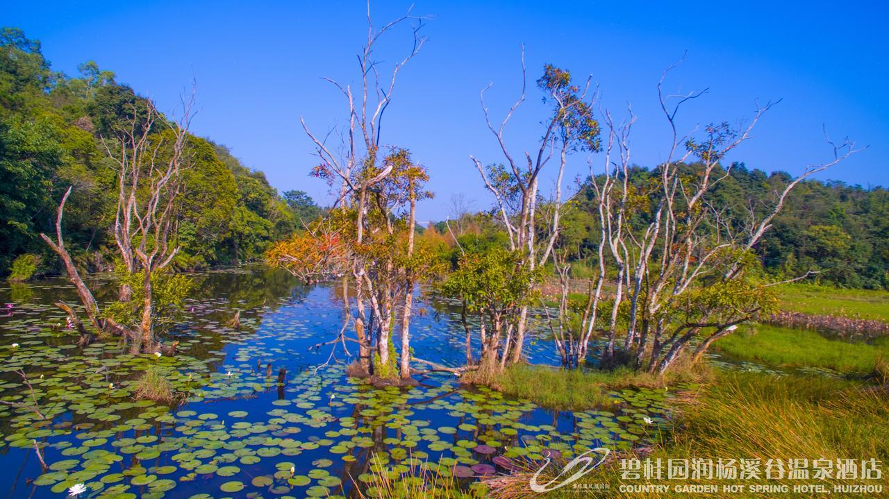 Country Garden Hot Spring Hotel Huizhou Huizhou  Bagian luar foto